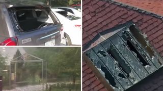 Imagini apocaliptice dupa furtuna! Grindina a bagat cinci oameni in spital si a ucis doua animale de la gradina zoologica