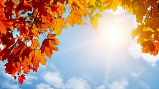 Anuntul meteorologilor! Iata cum va fi vremea in luna septembrie!