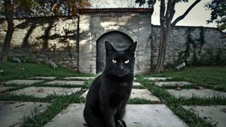 Topul celor mai ghinioniste zodii! Berbecii sunt cap de afis!