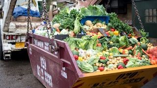 Aruncam mai mult decat mancam! Fructele si legumele sunt trimise la groapa de gunoi din motive incredibile!