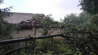 Furtuna a facut ravagii in Valcea! Traficul feroviar a fost blocat dupa ce mai multi copaci au fost doborati de vant