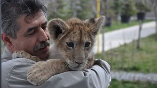 Imagini inedite cu vedeta gradinii zoologice din Craiova. Faceti cunostinta cu Leon!
