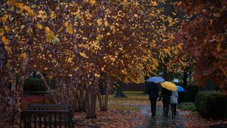 COD GALBEN si PORTOCALIU de vreme rea! Toamna pune stapanire pe Romania!