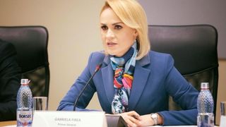 Firea, declaratii halucinante despre intregul scandal din PSD: "Nu-mi plac sobolanismele. Am avut..."