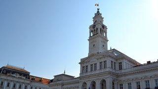 Aradul este invadat de sobolani! Oamenii sunt disperati, iar Primaria are explicatii halucinate