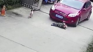 Gest socant al unui  om de afaceri din Focsani. Barbatul de 49 de ani si-ar fi calcat intentionat finul cu masina, apoi s-a sinucis