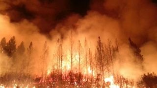 Imagini apocaliptice in statul american California!  Mai multe incendii de vegetatie au facut prapad! Oamenii au inceput sa fuga disperati