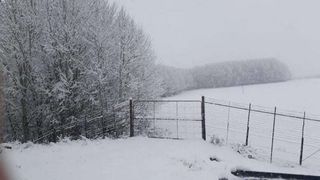 Vreme extrema in lume! In Africa si Australia a nins!