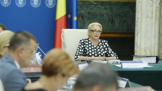 Sedinta de Guvern, marti. Organizarea referendumului de modificare a Constitutiei, pe ordinea de zi