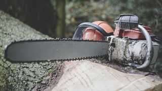 Accident sinistru in Succeava! Un barbat a murit in timp ce taia un copac cu drujba