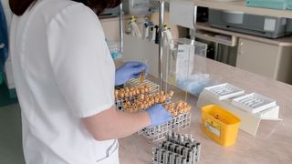 Epidemie de hepatita A in Bihor! Sute de persoane au ajuns de urgenta la spital