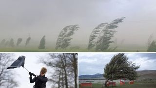 Cod galben de vant in Capitala si in 12 judete, pana sambata seara