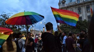 Protest in Piata Victoriei fata de referendumul pentru modificarea Constitutiei: "Drepturile omului nu pot fi subiectul unui vot popular"