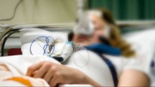 Şase decese din cauza virusului West Nile, &icirc;n ultima săptăm&acirc;nă