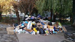 Orasele Romaniei devin focare de infectie! Oamenii arunca gunoiul pe unde apuca, fara sa le pese!