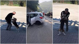 Un sofer rus si-a pierdut catelul in urma unui accident pe Valea Oltului. Dupa cinci saptamani, cei doi s-au reintalnit!