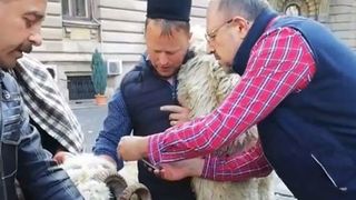 Ghiţă Ciobanul ameninţă cu greva foamei în faţa Ministerului Agriculturii! Din vedetă TV, cel mai cunoscut oier din ţară, tratat ca un infractor de oficialii de la Bucureşti