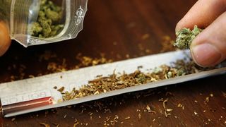 Marijuana va deveni legală &icirc;n Canada din 17 Octombrie! Oamenii vor putea chiar sa cultive plante