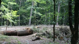 Zeci de bombe şi proiectile descoperite într-o comună din Vrancea