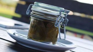 Armă &icirc;mpotriva cancerului. Toţi rom&acirc;nii au aşa ceva &icirc;n cămară