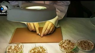 Boala vine prin telefon! Un experiment făcut de o elevă din Brăila arată efectele negative ale radiaţiilor emise de dispozitive