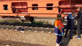 Accident groaznic &icirc;n Constanţa! O bătr&acirc;nă a fost decapitată de tren, chiar &icirc;n gară