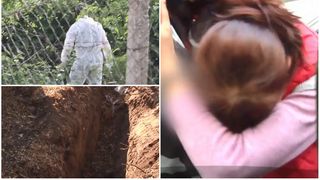 Primele imagini din casa unde a fost tranşat poliţistul din Brăila! Anchetatorii au găsit p&acirc;nă acum doar capul şi picioarele