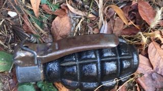 Alarmă într-o şcoală din Caraş Severin, unde un elev a venit cu o grenadă la ore. Primele măsuri