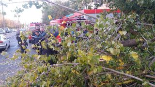 Furtuna face prăpăd &icirc;n Capitală. Un copac a căzut peste un bărbat. Medicii l-au preluat &icirc;n stare de inconştienţă. Ce se &icirc;nt&acirc;mplă acum cu el