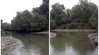 Situaţie dramatică în Delta Dunării! după ce nivelul apei a scăzut! "Totul este mort!"