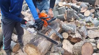 Caz &icirc;ngrozitor &icirc;n Vaslui! Un pădurar a fost tăiat cu sabia de 20 de hoţi de lemne