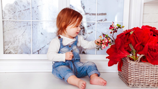 Top 5 flori non-toxice pentru copii si animale, ideale pentru decorarea casei