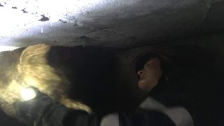 Pompierii din Tulcea au reuşit să salveze un căţel care zăcea de c&acirc;teva zile &icirc;n cuva unui rezervor!