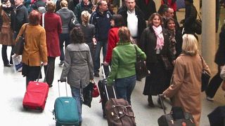 E primul an în care românii nu mai au voie să transporte carne de porc cu avionul! Restricţiile sunt impuse din cauza pestei porcine