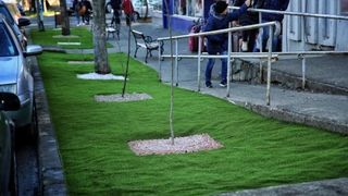 Primăria Bacău "a plantat" mochetă în loc de iarbă în oraş: "Nu trebuie udat, nu are nevoie de îngrigire specială"