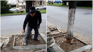 Dorel de Oltenia! Au ciopârţit copacii de pe marginea drumului, pentru a putea monta grătare decorative
