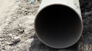 Google o celebrează astăzi pe românca Elisa Zamfirescu, prima femeie inginer din lume