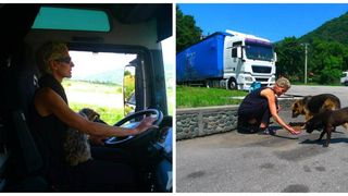 A murit Tamara, şoferiţa de TIR care construia adăposturi pentru c&acirc;inii abandonaţi din Rom&acirc;nia. Motivul pentru care s-a stins din viaţă este dureros