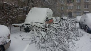 Prima zăpadă &icirc;n Capitală, primele probleme. Copaci căzuţi pe maşini şi &icirc;nt&acirc;rzieri pe aeroport
