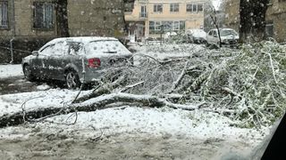 Bucureştiul, oraşul cel mai afectat în urma ninsorilor de ieri. 94 de copaci au fost rupţi, peste 60 de maşini avariate! A fost prăpad şi abia a nins