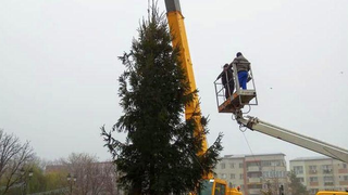 Oraşul minune din Rom&acirc;nia! Caracalul loveşte din nou, &icirc;n prag de sărbători! Imaginea de tot r&acirc;sul care a devenit virală pe reţelele de socializare