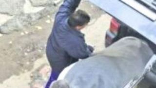 Cadavru plimbat sute de kilometri. Şoferul şi-a dat seama prea t&acirc;rziu că bărbatul care se afla cu el &icirc;n maşină murise