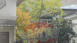 Vila cu etaj a lui Daniel este ridicata in fundul curtii, copacii ferind-o de ochii curiosilor