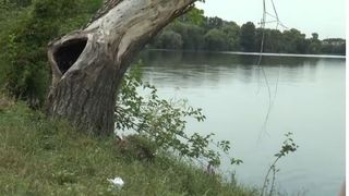 Acum, langa salcia batrana si uscata nu mai e si copacelul plantat de Clotilde