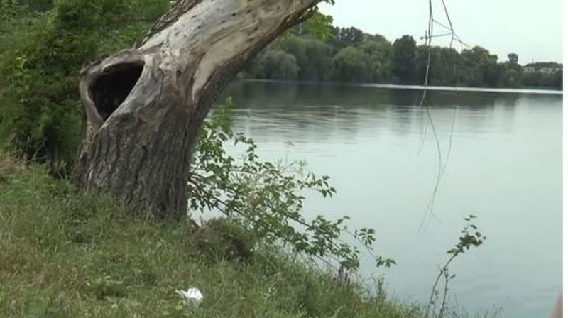 Acum, langa salcia batrana si uscata nu mai e si copacelul plantat de Clotilde