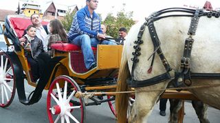 Un fost pretendent la presedintia Romaniei face inchisoare grea pentru evaziune fiscala! Ninel Potarca a candidat la alegerile din 2009, cand a venit la Biroul Electoral cu caleasca!