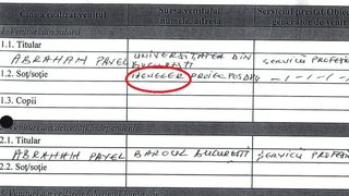 In declaratia de avere, Abraham a scris ca este "meneger"