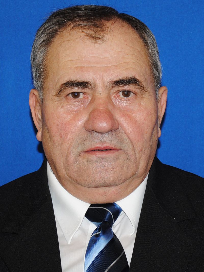 Vasile Berci