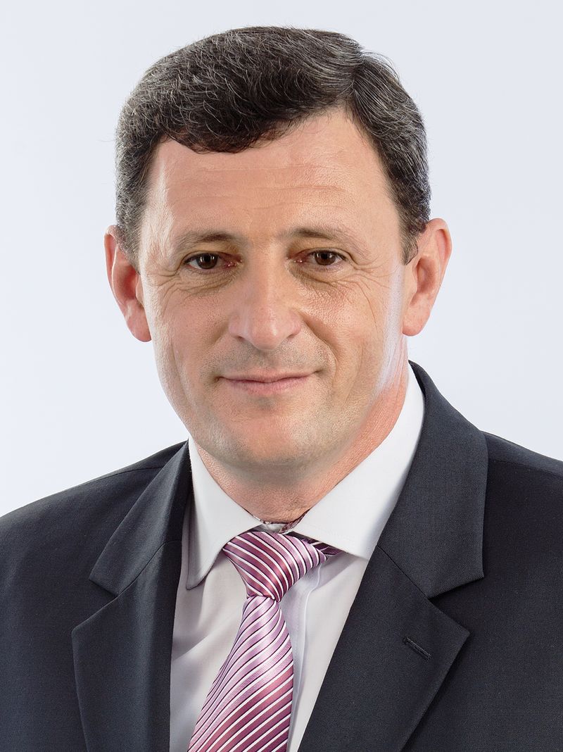 Dumitru Verginel Gireada