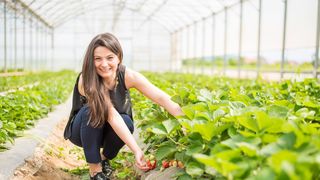 Ea este cea mai tanara consiliera a unui ministru! Maria Codrea lucreaza la Ministerul Agriculturii, provine dintr-o familie de capsunari si are atestat de tractorist!
